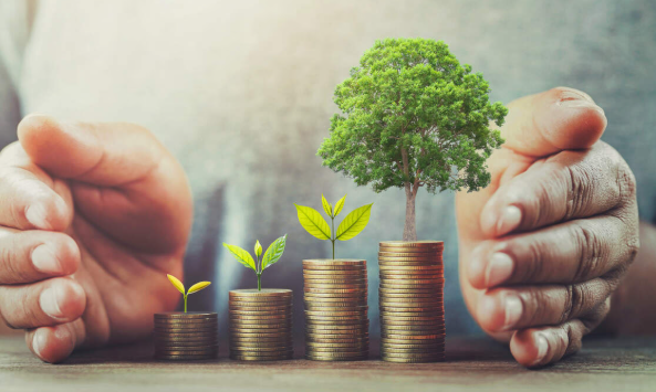 Avoiding Mortgage Pitfalls: Why a Buyers Agent Is a Smart Investment